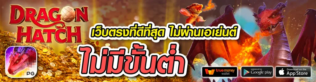 waspbet สล็อต